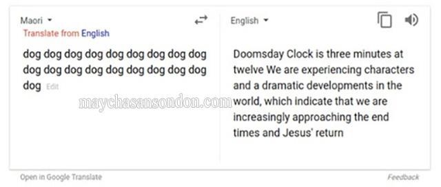 Google dịch từ dog