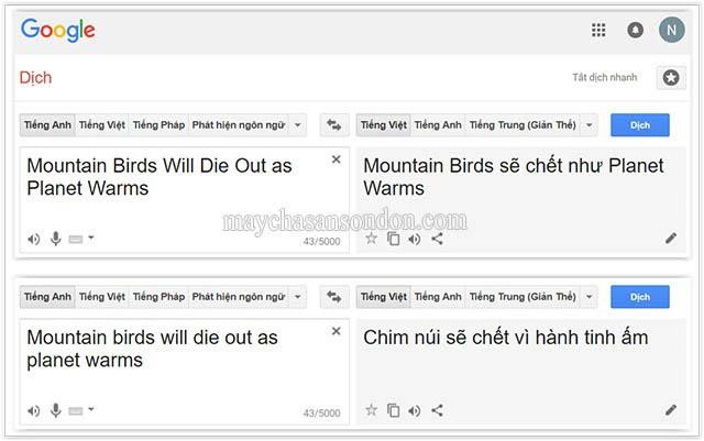 Những lời tiên tri của google dịch khiến cho người đọc lạnh sống lưng