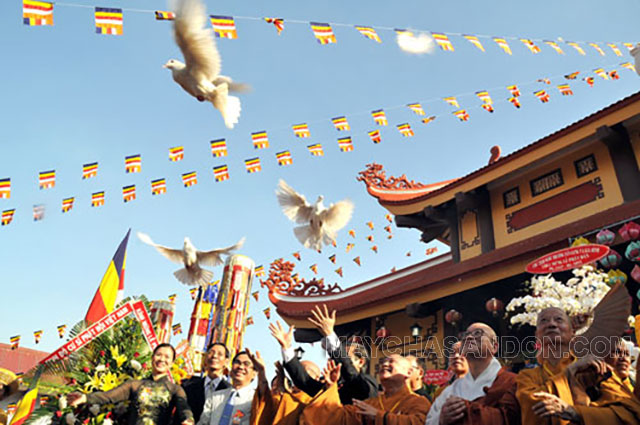 Hoạt động thả chim bồ câu trong lễ Phật Đản tại Việt Nam