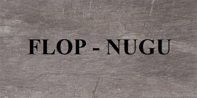 Sự khác nhau giữa nugu và Flop trong kpop